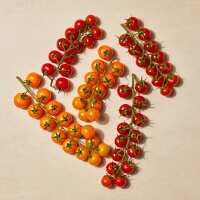 Read Isle of Wight Tomatoes Reviews